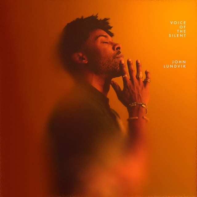 Album cover art for Voice Of The Silent
