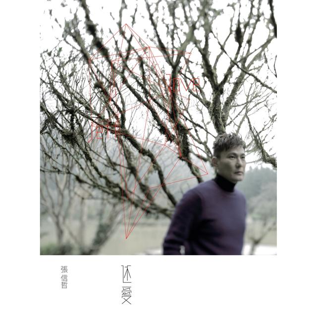 Album cover art for 還愛