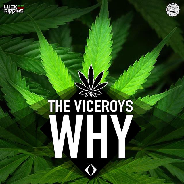 Album cover art for Why - Single