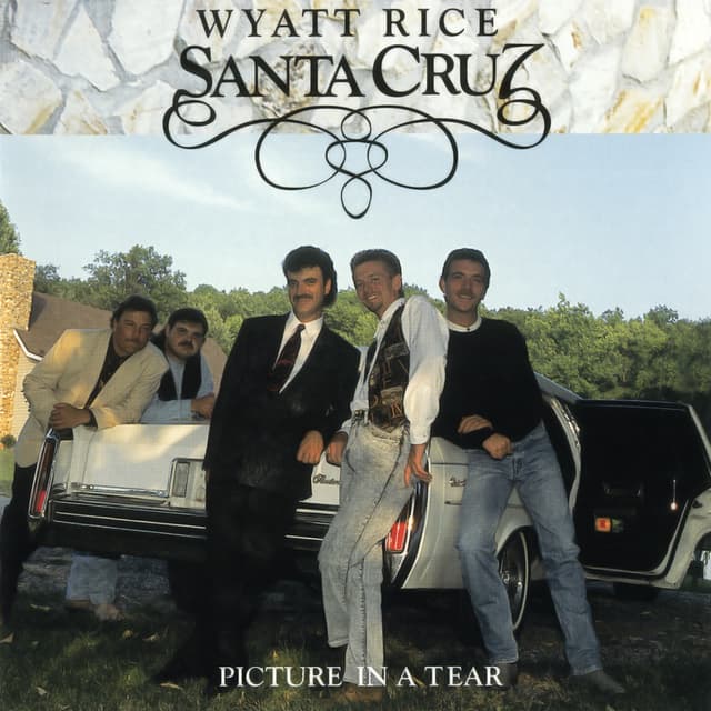 Album cover art for Picture in a Tear
