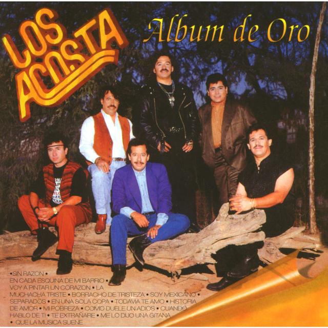 Album cover art for Album de Oro