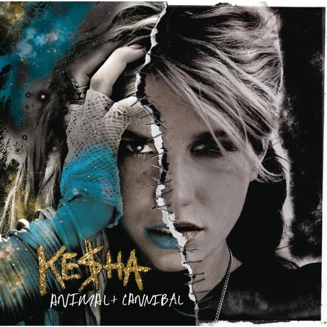 Album cover art for Animal + Cannibal