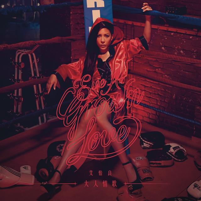 Album cover art for 大人情歌