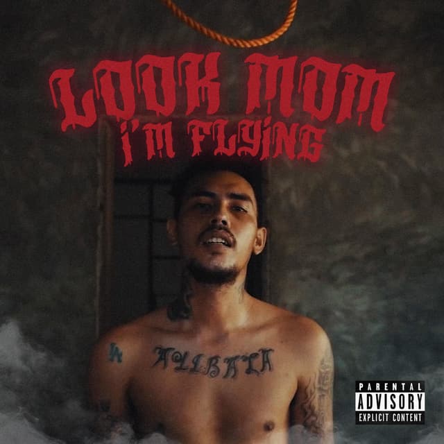 Album cover art for Look MOM I'm Flying