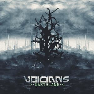 Album cover art for Wasteland