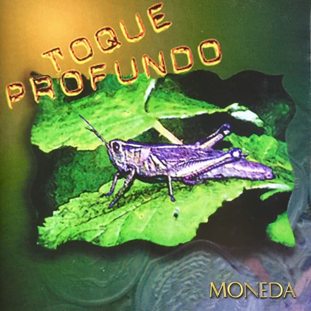 Album cover art for Moneda