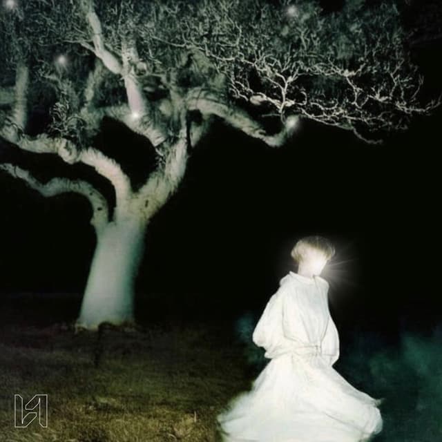 Album cover art for Размывает корни