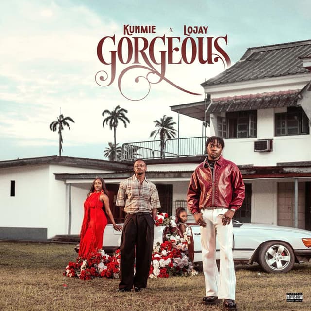 Album cover art for Gorgeous