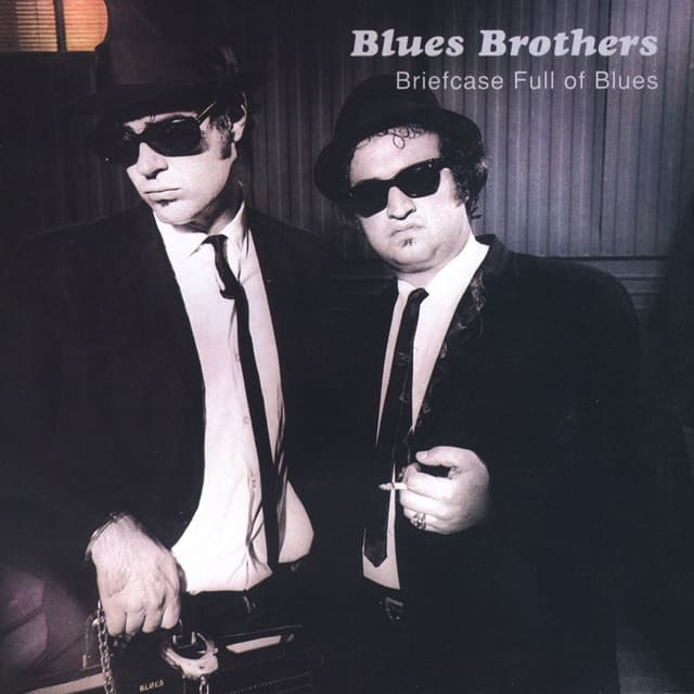 Album cover art for Briefcase Full 0f Blues