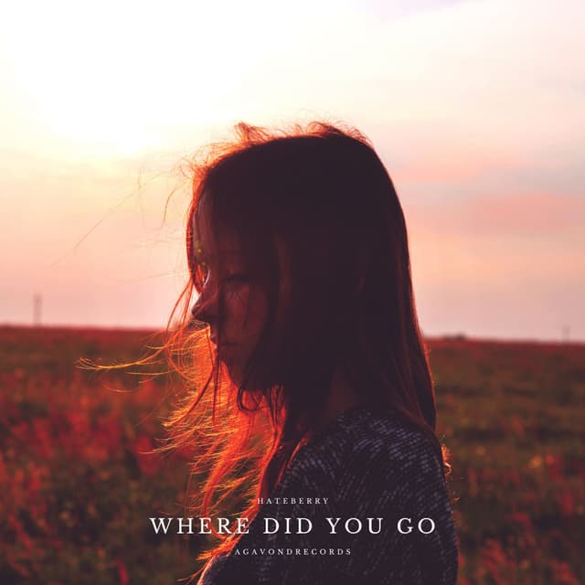 Album cover art for Where Did You Go