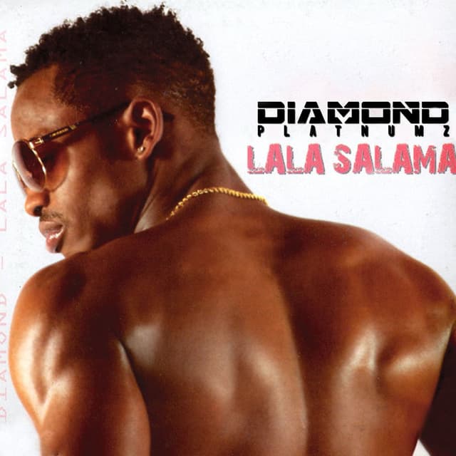 Album cover art for Lala Salama