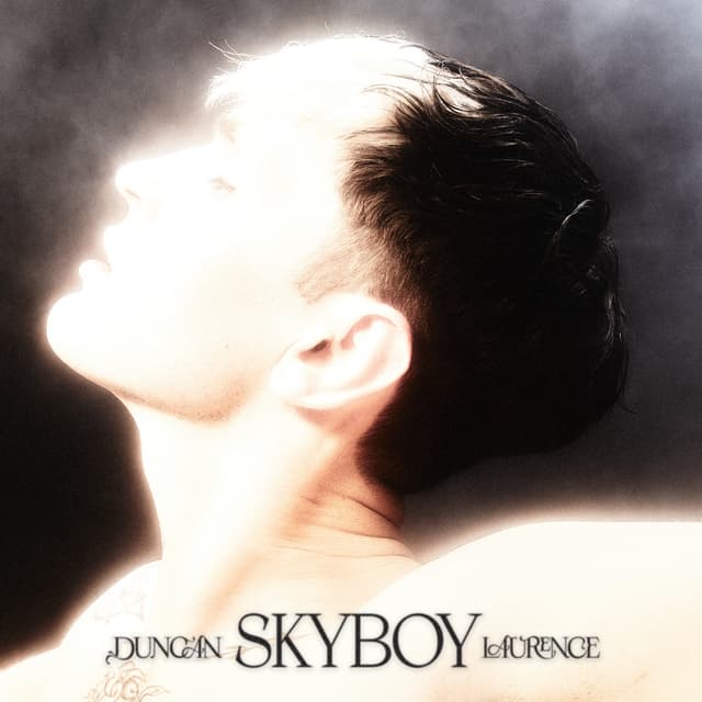 Album cover art for Skyboy
