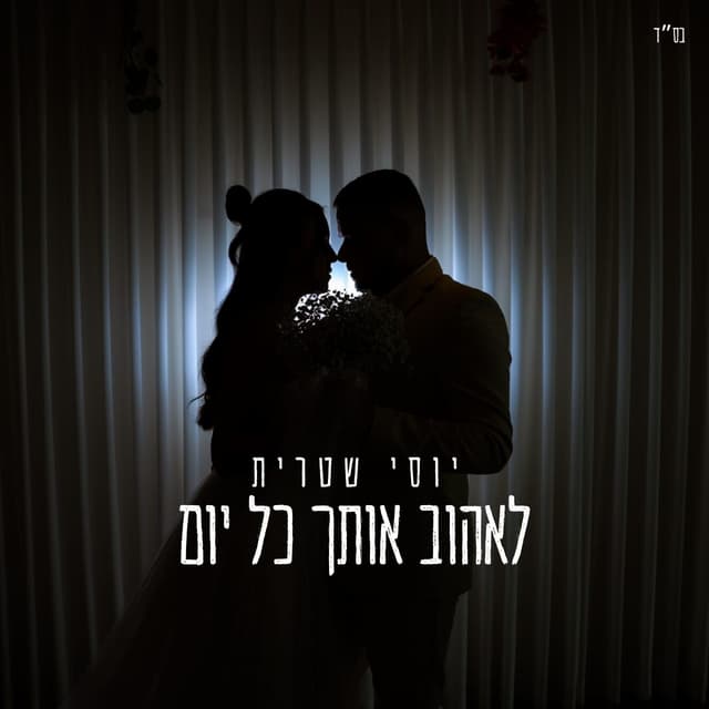 Album cover art for לאהוב אותך כל יום (קאבר)