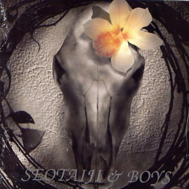 Album cover art for Seotaiji and Boys IV