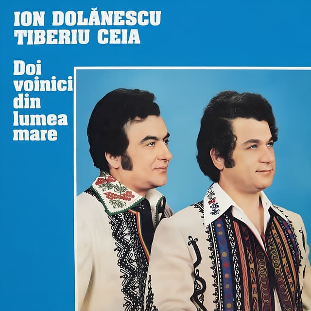 Album cover art for Doi Voinici Din Lumea Mare