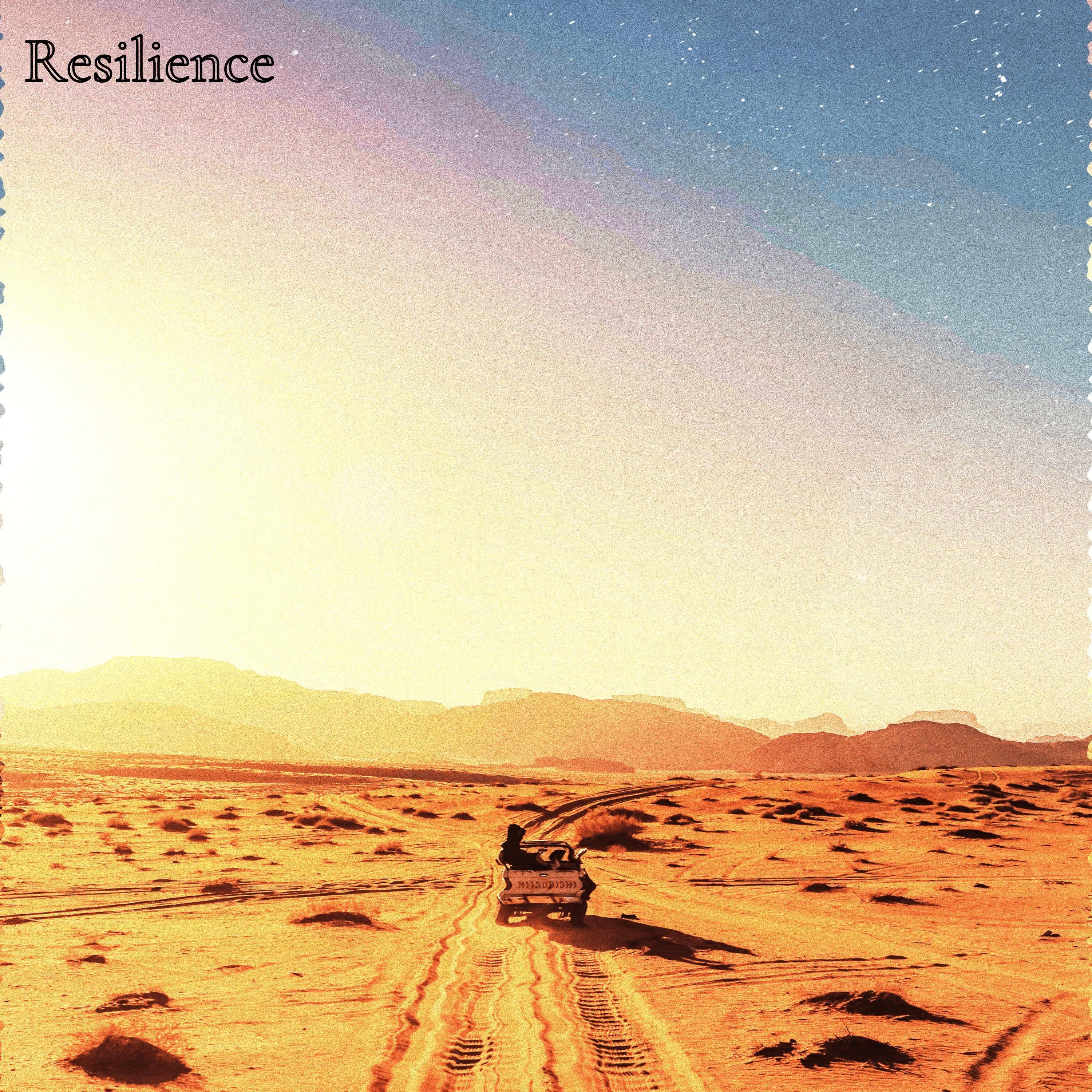 Resilience