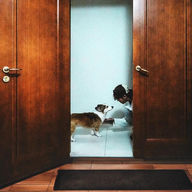 Album cover art for RHYMING