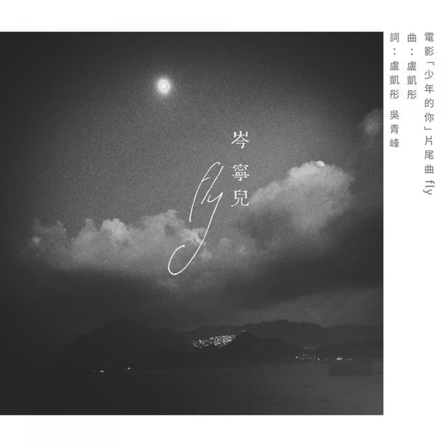 Album cover art for Fly