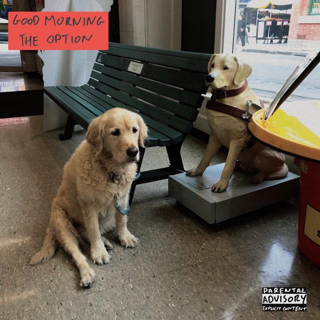 Album cover art for The Option