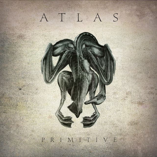 Album cover art for Primitive