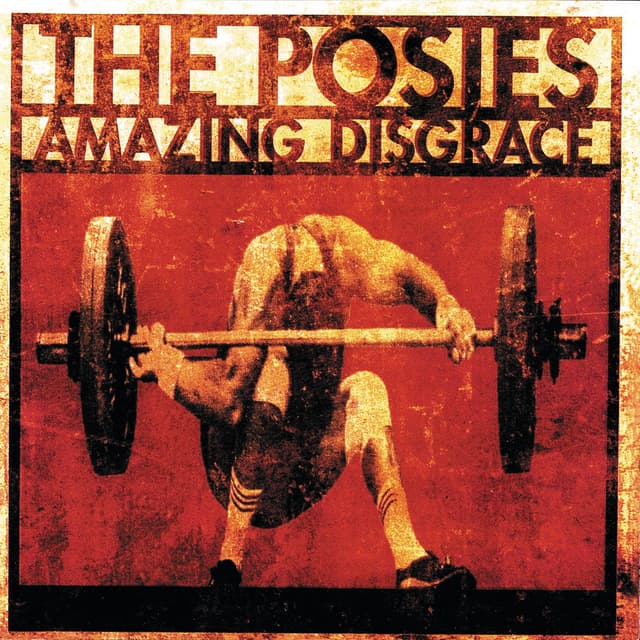 Album cover art for Amazing Disgrace