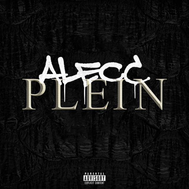 Album cover art for PLEIN