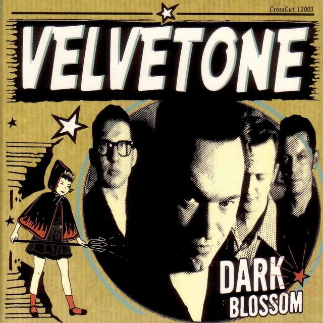Album cover art for Dark Blossom