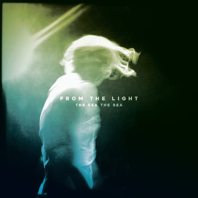 Album cover art for From the Light