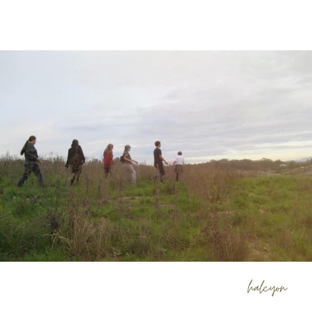 Album cover art for halcyon