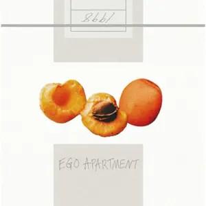 Album cover art for EGO APARTMENT