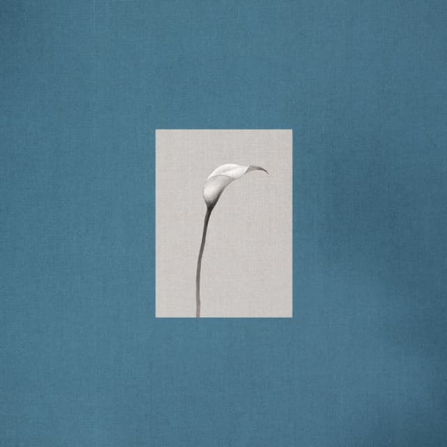 Album cover art for Stay: Two