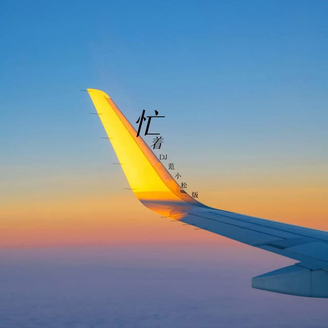 Album cover art for 忙着