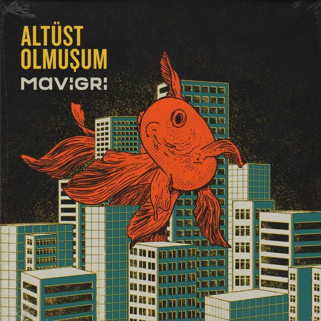Album cover art for Altüst Olmuşum