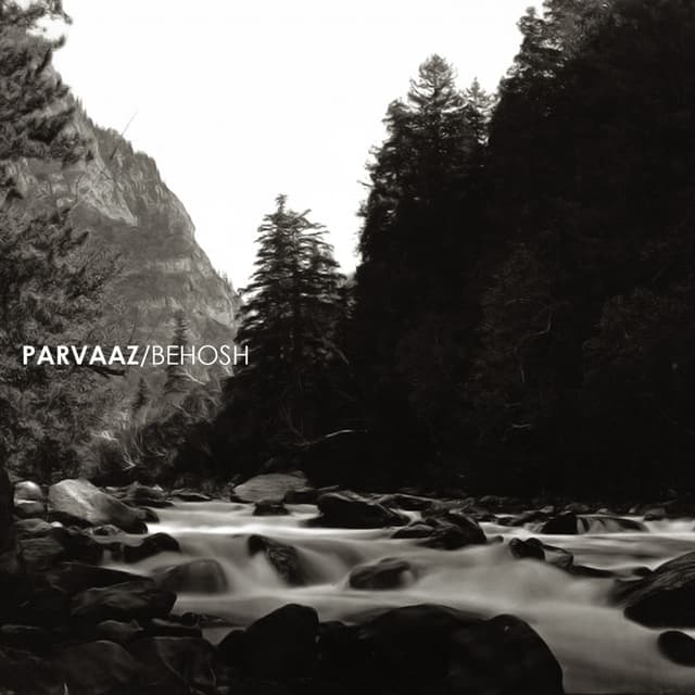 Album cover art for Behosh