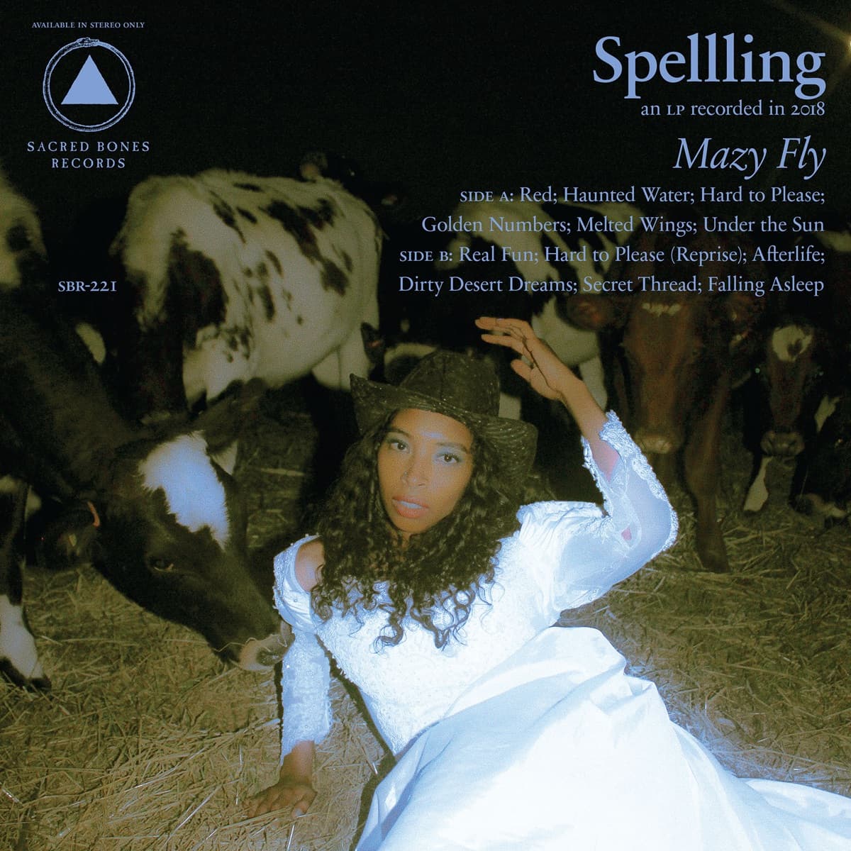 Lyric cover art