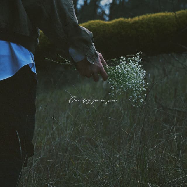 Album cover art for one day you're gone