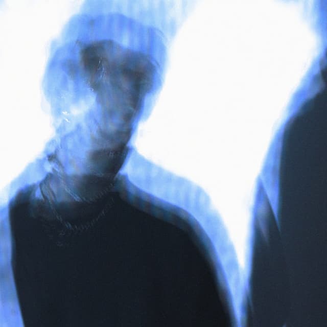 Album cover art for skin