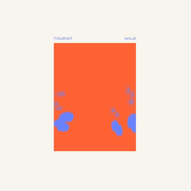 Album cover art for Wild