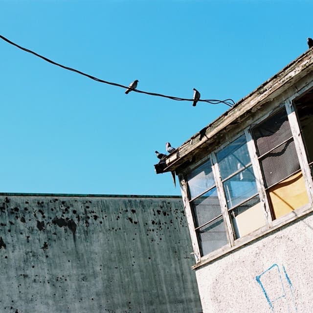 Album cover art for Blue Skies