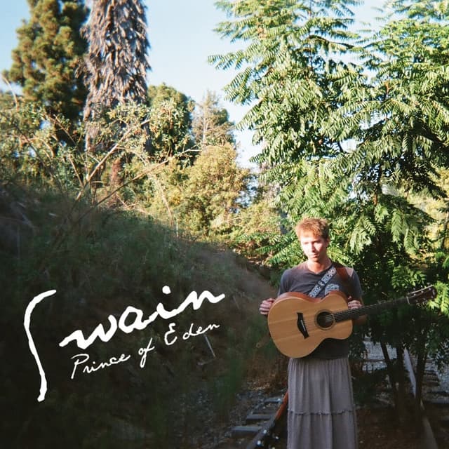Album cover art for Swain