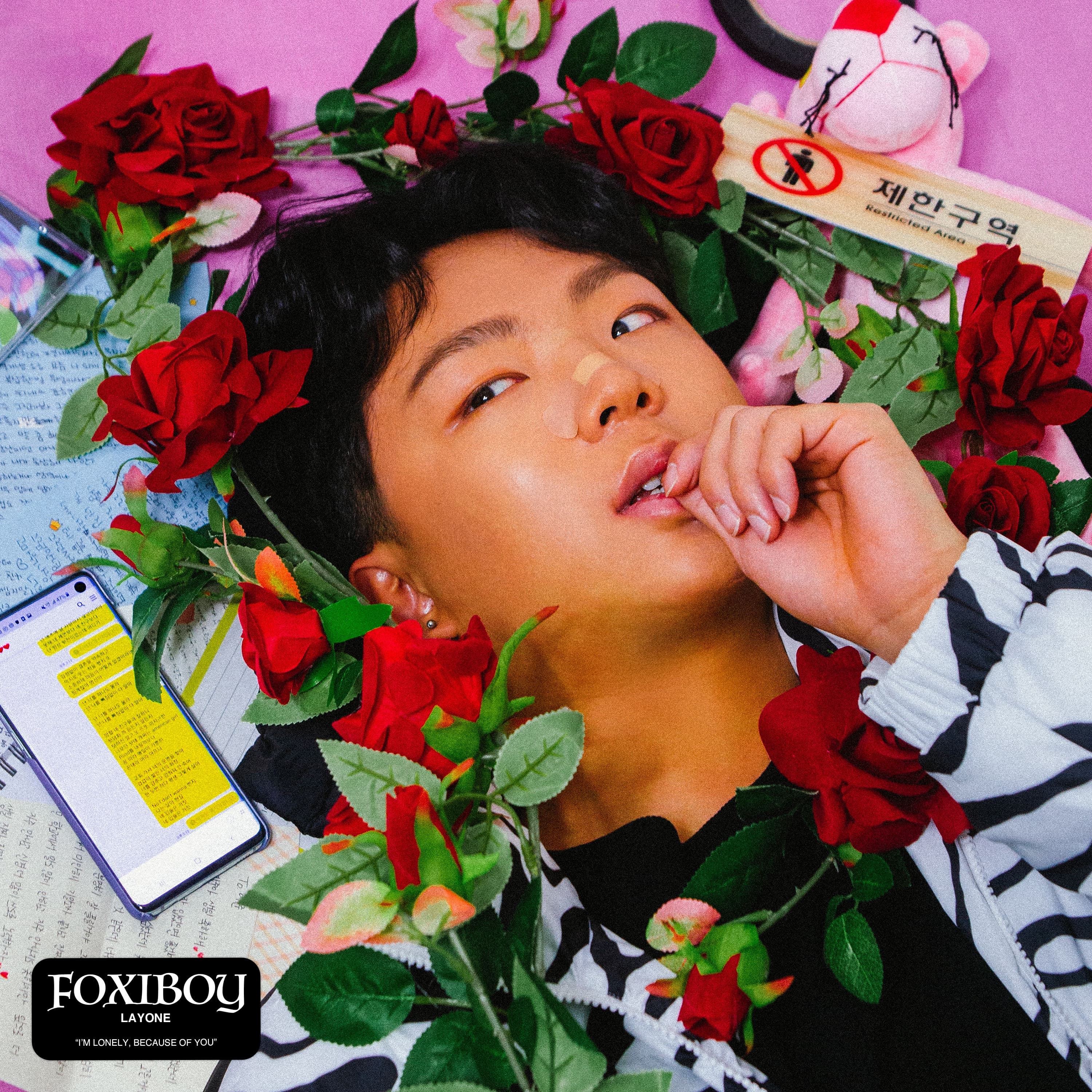 Lyric cover art