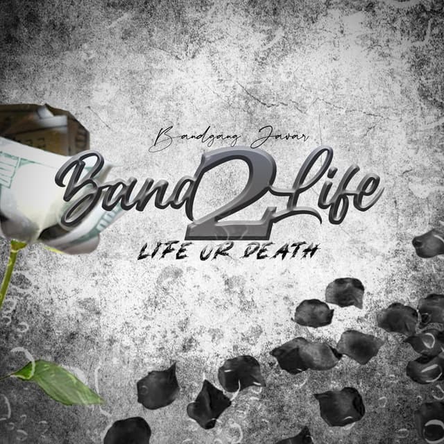 Album cover art for Bandlife 2 (Life or Death)