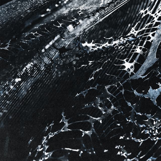 Album cover art for TOO MANY SCARS