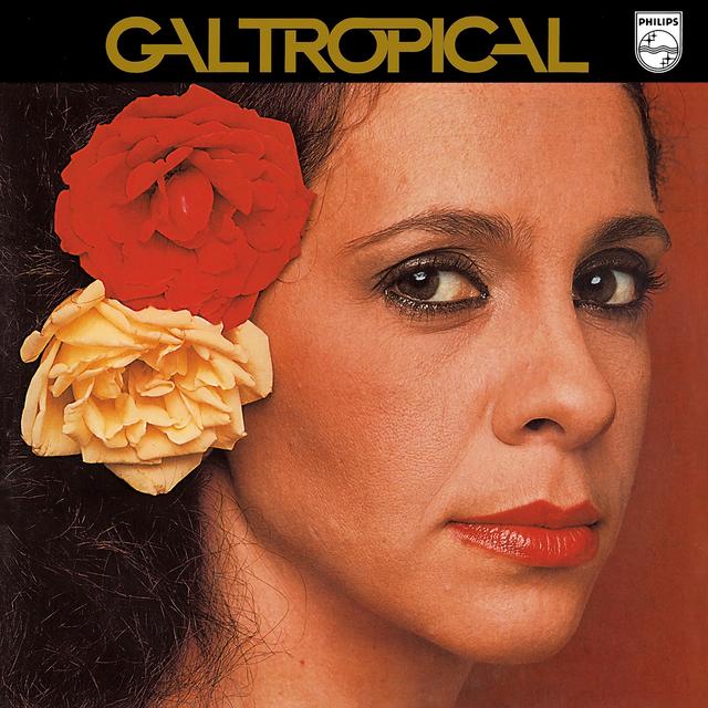 Album cover art for Gal Tropical