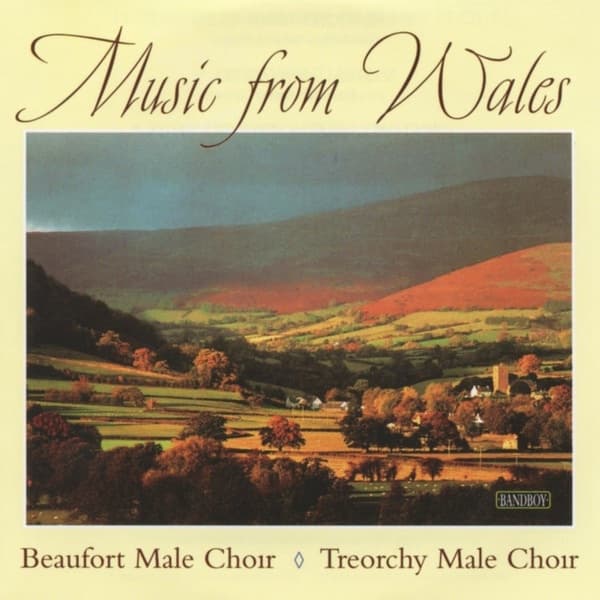 Album cover art for Music From Wales