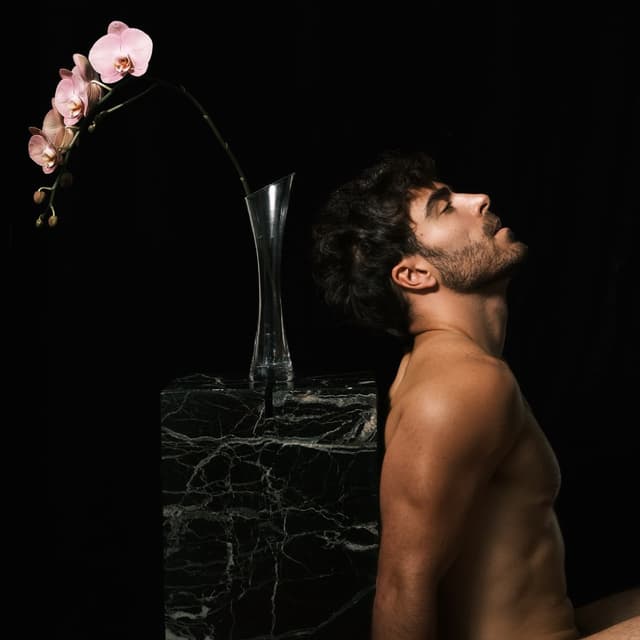 Album cover art for Bloom All Night