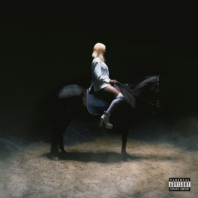 Album cover art for BIG PERFORMER