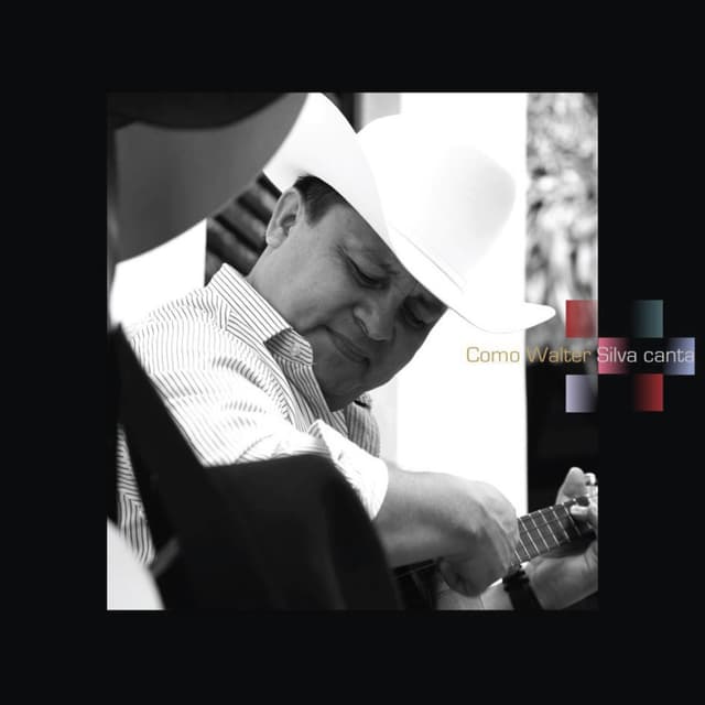 Album cover art for Como Walter Silva Canta