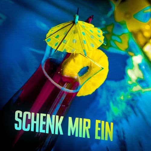 Album cover art for Schenk mir ein
