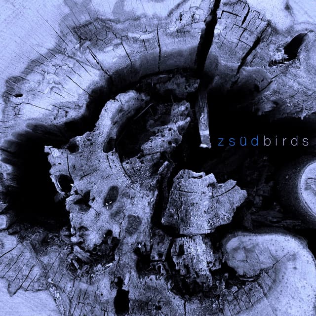 Album cover art for Birds